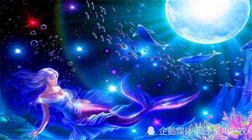 四、 职业学业表现及能量分配策略