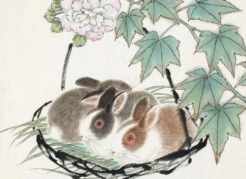 属兔人：细节控强迫症