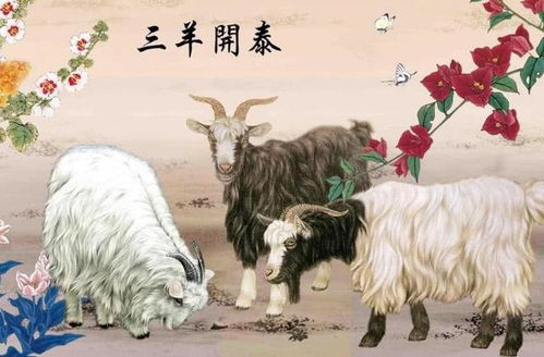 半夜三更对应的生肖动物是什么？杯水车薪打一生肖的含义是什么？