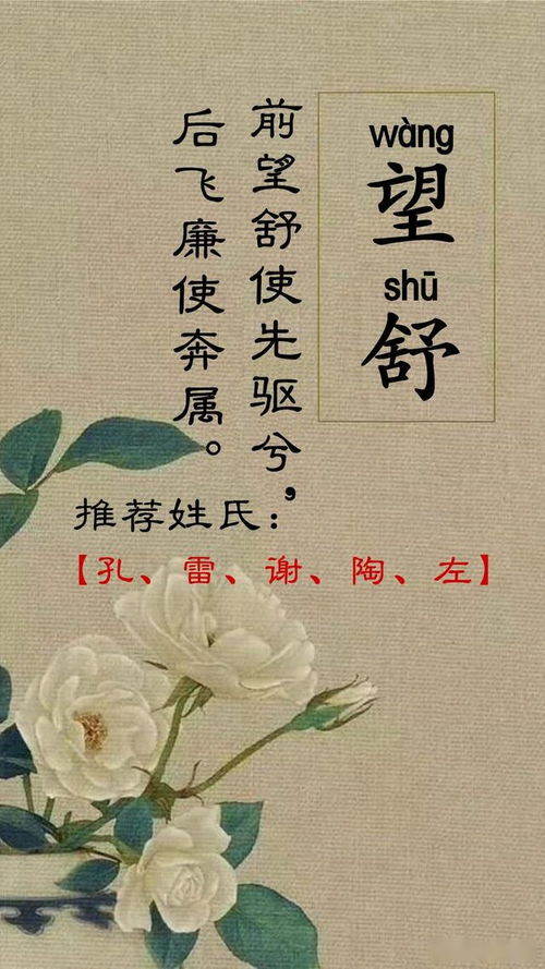 一、 随手拈来——所谓“事业顺遂”到底是个啥玩意儿