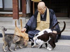 第一章：不靠谱的起名哲学