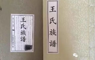 A．通用基础词汇集合（不区分地区）