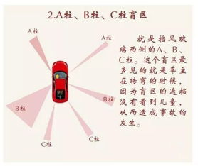 二、 四项断语详解