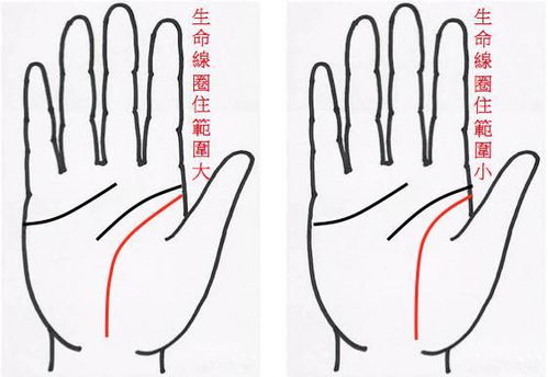 中指：火属性——心脏、 功名与事业