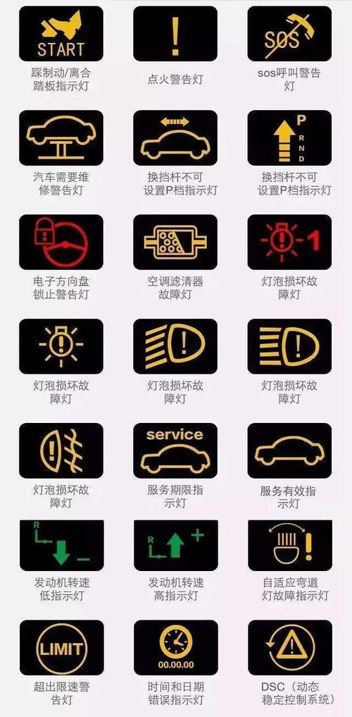 50亿年和5亿年分别对应哪个生肖？