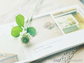 大海水命适合做茶叶生意吗？如何判断茶叶生意是否火爆？