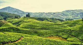 综合治理措施概述