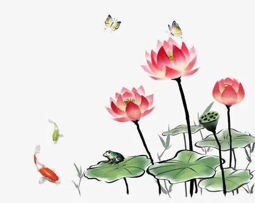 三、 身份与场景化解读差异