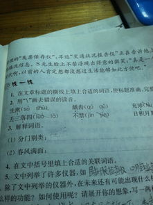 緩從門的基本定義與歷史背景