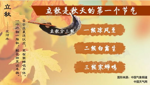 立秋之时：金秋肃杀气象与人生盛衰的辩证关系