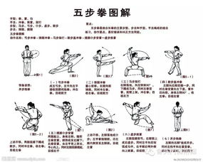 2.1 端正垂直式坐姿