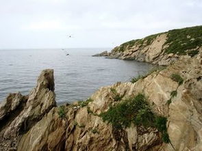 葫芦岛另类景点盘点