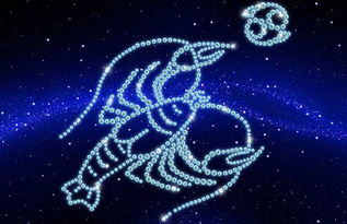 属虎射手座2026年十二月感情运势如何分析？