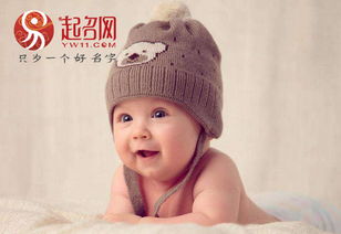 几个我觉得还凑合的名字 (别当真!)