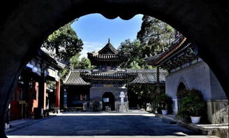 真实实案例：优惠套餐的“较高光”时刻