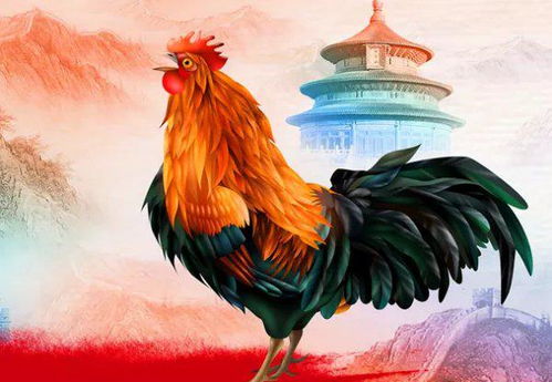 1993年属鸡的人最忌讳的三个属相分别是什么，它们之间有什么特别的含义？