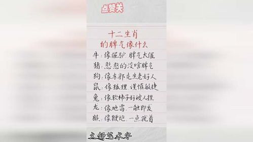 2. 温和生肖的尊重逻辑：细节与关怀