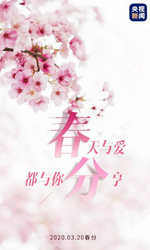 五行流转与春季木气的生发机制