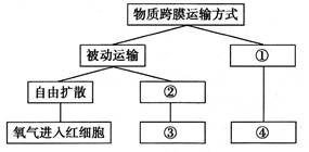 3. 楼梯通道与私密性的关联性