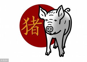五、 身体健康状况与养生考量