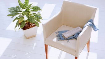 卧室摆放积木花束对家居风水有影响吗？