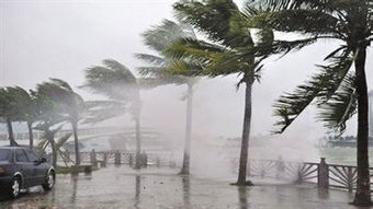 台风来了怎么办？跑啊！