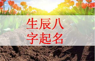 历史课时间到！虽然跟起名没啥关系