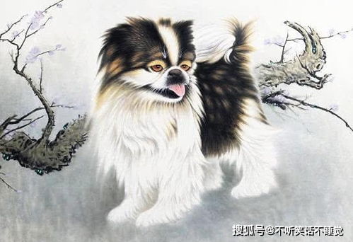 今年3岁孩子属什么生肖，明年又是哪个生肖年呢？