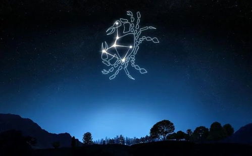 同星座组合优劣势权衡：以双鱼-双鱼案例为中心解析范例