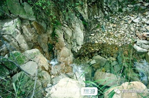 西海固：从“苦甲天下”到“绿洲密码”
