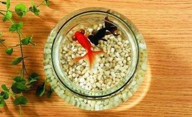 ：水生态系统与风水理论的交汇点