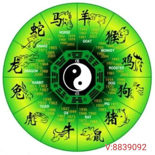情感色彩炸裂：较大师们怎样用语言挑逗你的心弦？