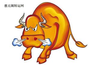 哪个生肖坐着比站着显得更高？