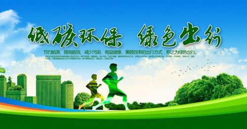 如何制定并遵循保护环境的10条法则来守护我们共同的家园？