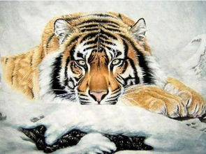 属虎男孩名字大全，属牛的与属虎的相配吗？有没有推荐的吉祥名字？