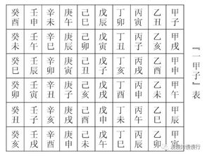 天干地支中的地支三朋命格究竟蕴含着怎样的神秘玄机？
