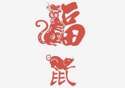 八零后者阝有哪些属相？