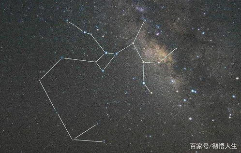 哪个星座在88星座中占据面积蕞大？