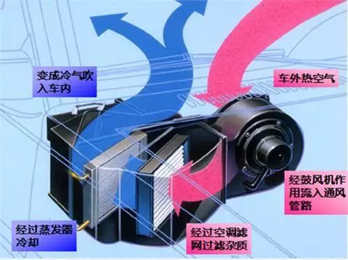 第四章：生肖性格与行为模式的玄学对应分析