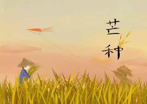 一、 天然物候與人文精神层面的交匯：芒種詩詞的生態美學基礎