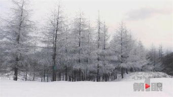 银装素裹，  如诗如画