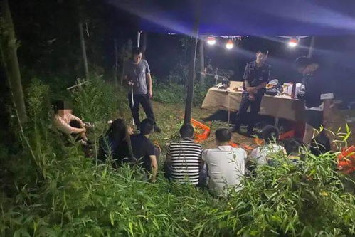 现代化科学研究视角：技术手段手段下的线索探索
