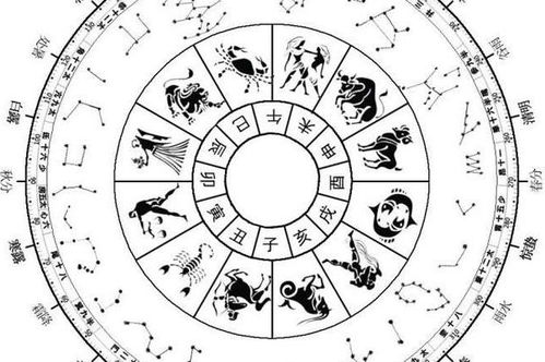 对命运敬畏与臆想：探寻深层文化根源