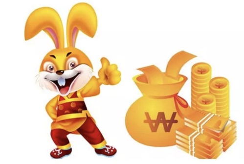 兔（屬兔）今日運勢詳盡分析