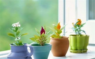 东方方位：木气相生与财运提升