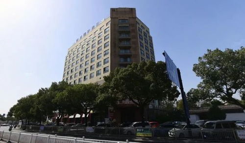 3. 色彩和谐与装饰摆件