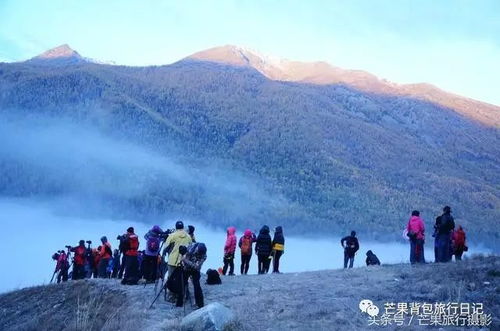 二、景点：那些让人哭笑不得的“必去之地”