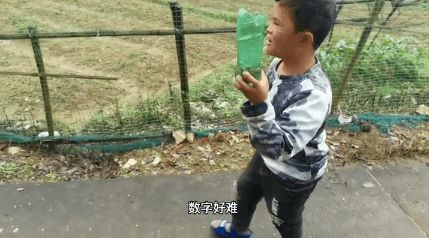 一. 偏向稳沉重踏实的类型