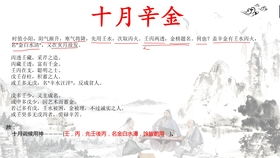 戌月辛金日元之基本格局分析