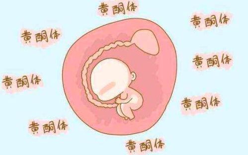 怎样调理孕酮较低引起的月经量更少